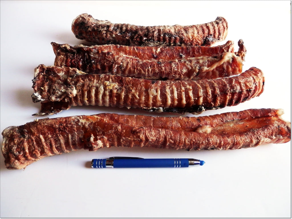 Beef Windpipe Beef Trachea Pipe 40cm – DriedDogTreats-Trade